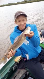 Zander