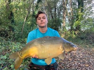 Mirror Carp