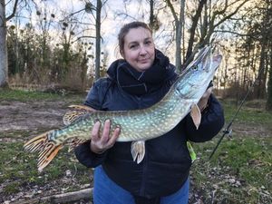 Northern Pike
