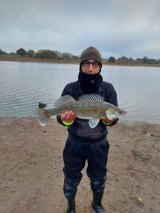 Zander