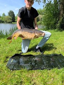 Mirror Carp