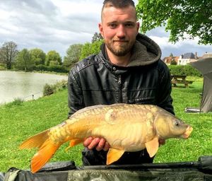 Mirror Carp