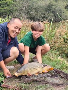 Common Carp