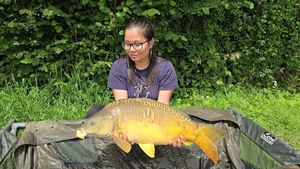 Mirror Carp