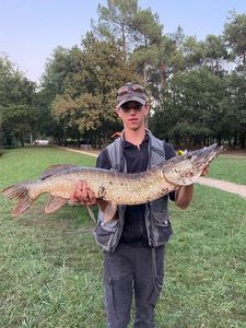 Northern Pike