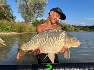Mirror Carp