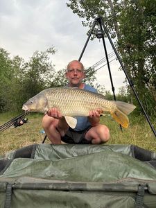 Common Carp