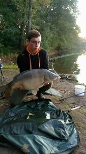 Mirror Carp