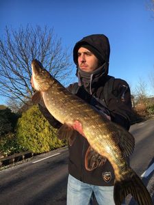 Northern Pike