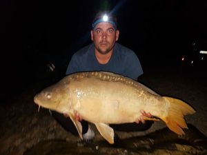 Mirror Carp