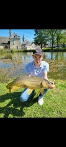 Common Carp