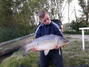 Mirror Carp