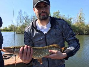 Northern Pike