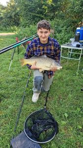 Common Carp