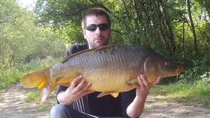 Mirror Carp