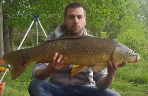 Common Carp