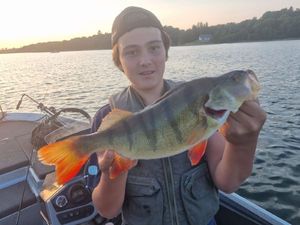 European Perch
