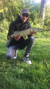 Northern Pike
