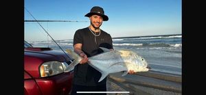 Giant Trevally (GT)