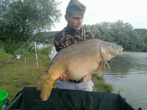 Mirror Carp