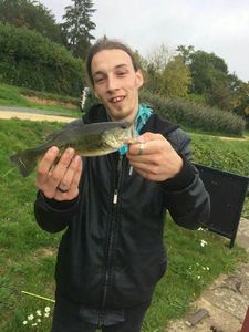 Largemouth Bass