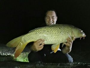 Common Carp