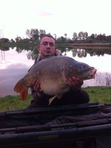Mirror Carp