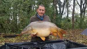 Mirror Carp