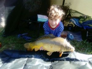 Mirror Carp
