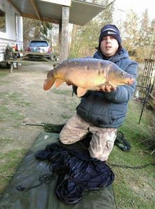 Leather Carp