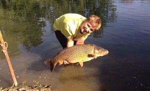 Common Carp