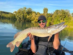 Northern Pike
