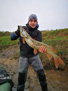 Northern Pike