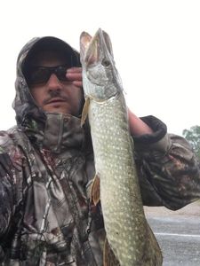Northern Pike