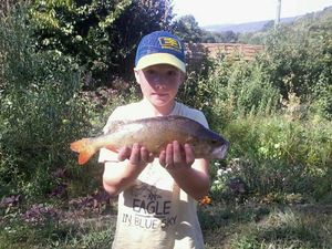 European Perch