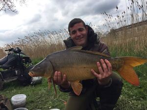 Mirror Carp