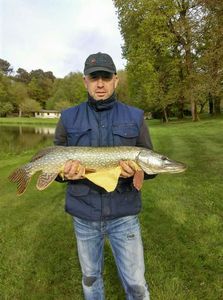 Northern Pike