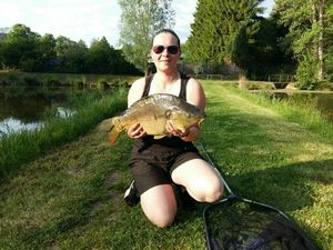 Mirror Carp