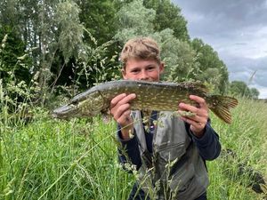 Northern Pike