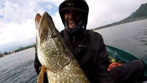 Northern Pike