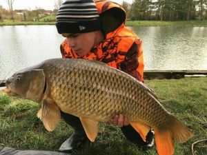 Common Carp