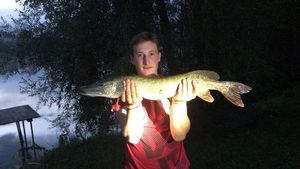 Northern Pike