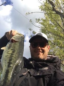 Largemouth Bass