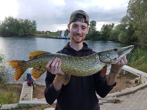 Northern Pike