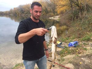 Northern Pike