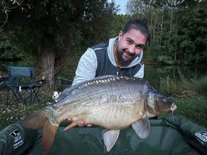 Mirror Carp