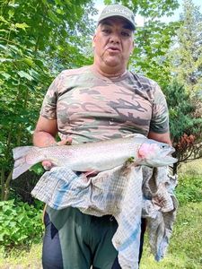 Rainbow Trout