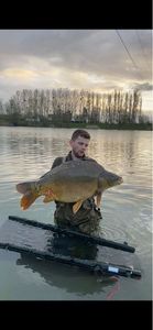 Leather Carp