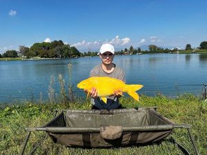 Koï Fish
