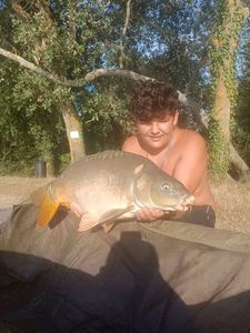 Mirror Carp